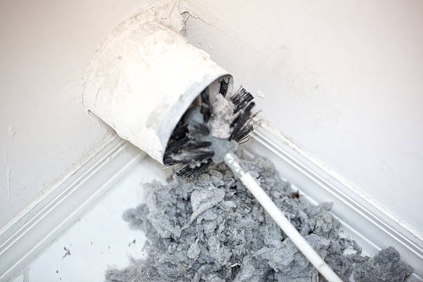Best Affordable Duct Cleaning Services  in Palacios, TX